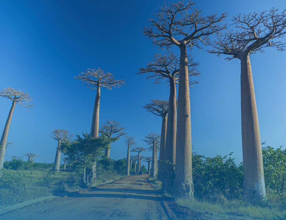 Madagascar 1GB 7 Days